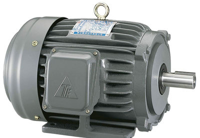 東元電機(jī) F 系列 自冷變頻電機(jī) | TECO AEEFVS / AEVFVS 系列 0.18-315 kW