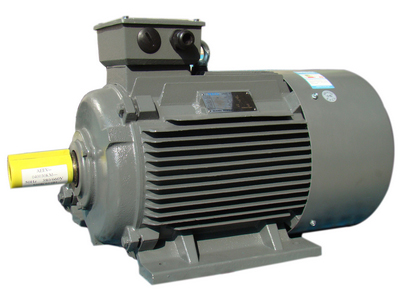 TECO東元 V 系列 自冷變頻電機(jī) — 風(fēng)機(jī) / 水泵專用變頻電機(jī)