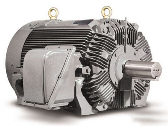東元電機(jī) 高壓 NEMA 電機(jī) | TECO AEHG 系列 150-900HP 高壓電機(jī)