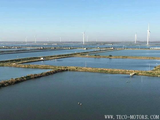 【電廠】天潤鹽城大豐試驗風(fēng)電場工程最后一臺風(fēng)機順利就位