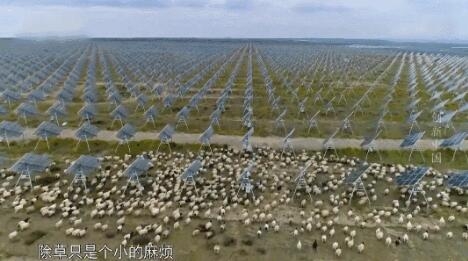 【電廠】2018年水電再次霸屏央視 水光互補(bǔ)項(xiàng)目閃亮登場！ - TECO東元電機(jī) | 變頻器·伺服電機(jī)·減速機(jī)·電機(jī)解決方案