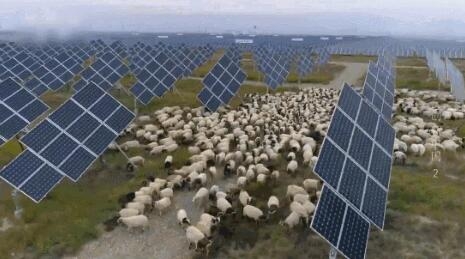 【電廠】2018年水電再次霸屏央視 水光互補(bǔ)項(xiàng)目閃亮登場！ - TECO東元電機(jī) | 變頻器·伺服電機(jī)·減速機(jī)·電機(jī)解決方案