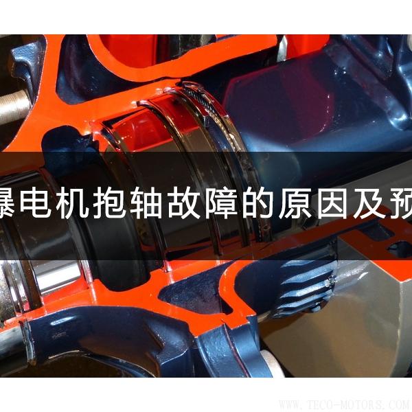 防爆電機抱軸故障的原因及預(yù)防
