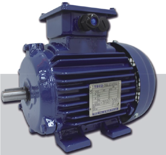 東元電機(jī) TEV3高效三相異步電機(jī) | TECO AEEV3N AEUV3N 高效電機(jī)