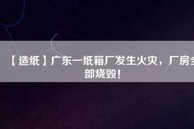 【造紙】廣東一紙箱廠發(fā)生火災(zāi)，廠房全部燒毀！