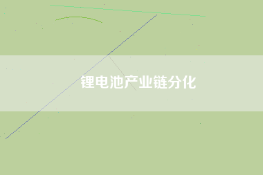 鋰電池產業(yè)鏈分化