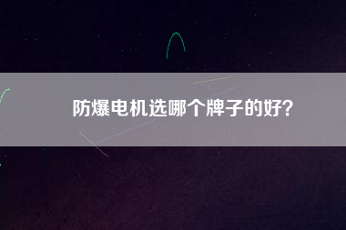 防爆電機選哪個牌子的好？