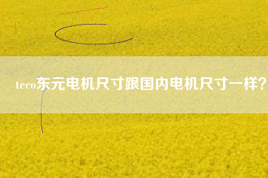 teco東元電機(jī)尺寸跟國內(nèi)電機(jī)尺寸一樣？