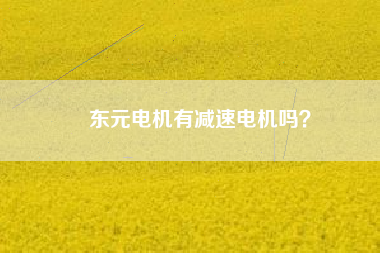 東元電機有減速電機嗎？