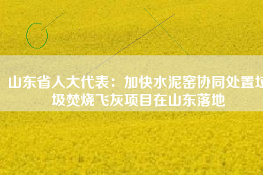 山東省人大代表：加快水泥窯協(xié)同處置垃圾焚燒飛灰項目在山東落地