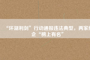 “環(huán)湖利劍”行動(dòng)通報(bào)違法典型，兩家紙企“榜上有名”