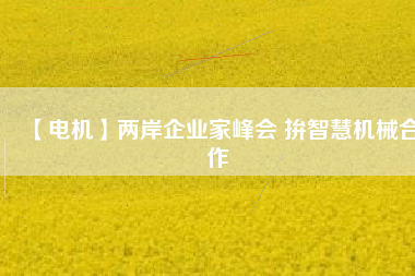 【電機(jī)】兩岸企業(yè)家峰會 拚智慧機(jī)械合作 - TECO東元電機(jī) | 變頻器·伺服電機(jī)·減速機(jī)·電機(jī)解決方案