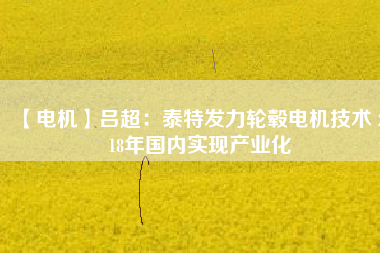 【電機(jī)】呂超:泰特發(fā)力輪轂電機(jī)技術(shù) 2018年國(guó)內(nèi)實(shí)現(xiàn)產(chǎn)業(yè)化 - TECO東元電機(jī) | 變頻器·伺服電機(jī)·減速機(jī)·電機(jī)解決方案