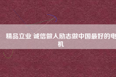 精品立業(yè) 誠信做人勵志做中國最好的電機 - TECO東元電機 | 變頻器·伺服電機·減速機·電機解決方案