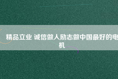 精品立業(yè) 誠信做人勵志做中國最好的電機 - TECO東元電機 | 變頻器·伺服電機·減速機·電機解決方案