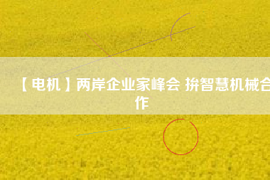 【電機(jī)】兩岸企業(yè)家峰會 拚智慧機(jī)械合作 - TECO東元電機(jī) | 變頻器·伺服電機(jī)·減速機(jī)·電機(jī)解決方案