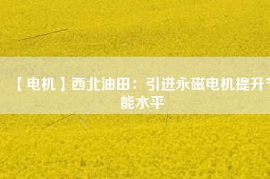 【電機】西北油田：引進永磁電機提升節(jié)能水平 - TECO東元電機 | 變頻器·伺服電機·減速機·電機解決方案