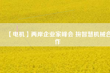 【電機(jī)】兩岸企業(yè)家峰會 拚智慧機(jī)械合作 - TECO東元電機(jī) | 變頻器·伺服電機(jī)·減速機(jī)·電機(jī)解決方案