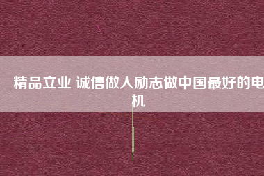 精品立業(yè) 誠信做人勵志做中國最好的電機 - TECO東元電機 | 變頻器·伺服電機·減速機·電機解決方案