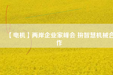 【電機(jī)】兩岸企業(yè)家峰會 拚智慧機(jī)械合作 - TECO東元電機(jī) | 變頻器·伺服電機(jī)·減速機(jī)·電機(jī)解決方案