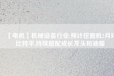 【電機(jī)】機(jī)械設(shè)備行業(yè):預(yù)計(jì)挖掘機(jī)2月環(huán)比持平,持續(xù)超配成長(zhǎng)龍頭和油服 - TECO東元電機(jī) | 變頻器·伺服電機(jī)·減速機(jī)·電機(jī)解決方案