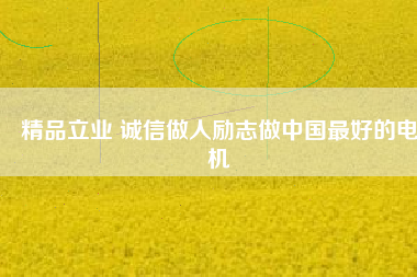 精品立業(yè) 誠信做人勵志做中國最好的電機 - TECO東元電機 | 變頻器·伺服電機·減速機·電機解決方案