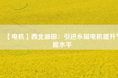 【電機】西北油田：引進永磁電機提升節(jié)能水平 - TECO東元電機 | 變頻器·伺服電機·減速機·電機解決方案