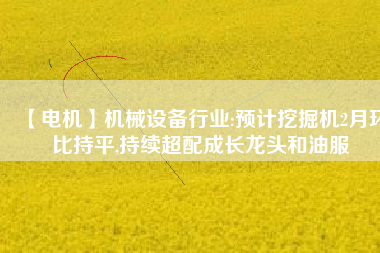 【電機(jī)】機(jī)械設(shè)備行業(yè):預(yù)計(jì)挖掘機(jī)2月環(huán)比持平,持續(xù)超配成長(zhǎng)龍頭和油服 - TECO東元電機(jī) | 變頻器·伺服電機(jī)·減速機(jī)·電機(jī)解決方案