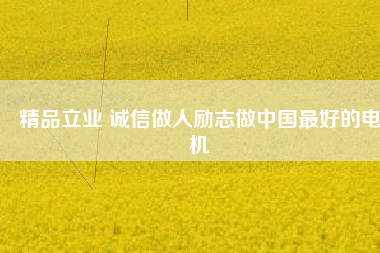 精品立業(yè) 誠信做人勵志做中國最好的電機 - TECO東元電機 | 變頻器·伺服電機·減速機·電機解決方案