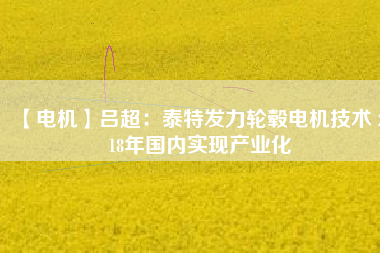【電機(jī)】呂超:泰特發(fā)力輪轂電機(jī)技術(shù) 2018年國(guó)內(nèi)實(shí)現(xiàn)產(chǎn)業(yè)化 - TECO東元電機(jī) | 變頻器·伺服電機(jī)·減速機(jī)·電機(jī)解決方案