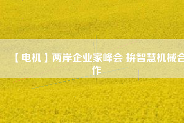 【電機(jī)】兩岸企業(yè)家峰會 拚智慧機(jī)械合作 - TECO東元電機(jī) | 變頻器·伺服電機(jī)·減速機(jī)·電機(jī)解決方案