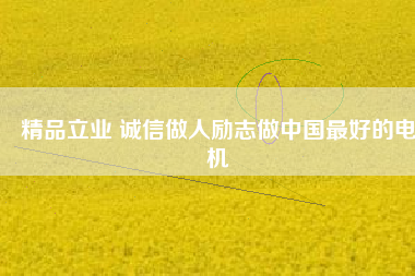 精品立業(yè) 誠信做人勵志做中國最好的電機 - TECO東元電機 | 變頻器·伺服電機·減速機·電機解決方案