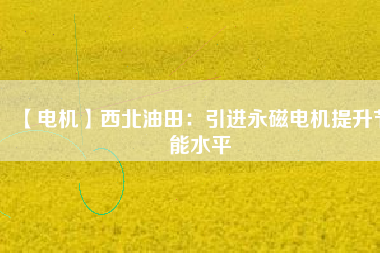 【電機】西北油田：引進永磁電機提升節(jié)能水平 - TECO東元電機 | 變頻器·伺服電機·減速機·電機解決方案
