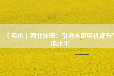 【電機】西北油田：引進永磁電機提升節(jié)能水平 - TECO東元電機 | 變頻器·伺服電機·減速機·電機解決方案