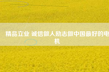 精品立業(yè) 誠信做人勵志做中國最好的電機 - TECO東元電機 | 變頻器·伺服電機·減速機·電機解決方案