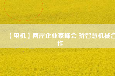 【電機(jī)】兩岸企業(yè)家峰會 拚智慧機(jī)械合作 - TECO東元電機(jī) | 變頻器·伺服電機(jī)·減速機(jī)·電機(jī)解決方案