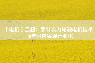 【電機(jī)】呂超:泰特發(fā)力輪轂電機(jī)技術(shù) 2018年國(guó)內(nèi)實(shí)現(xiàn)產(chǎn)業(yè)化 - TECO東元電機(jī) | 變頻器·伺服電機(jī)·減速機(jī)·電機(jī)解決方案