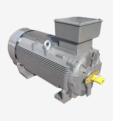 東元電機(jī) AESV 粉塵防爆電機(jī) | TECO ExtD A21 / IP66 防爆電機(jī)