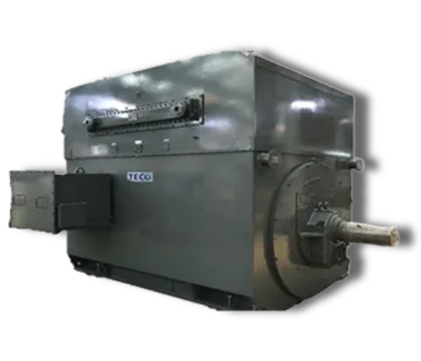 東元電機高壓異步電機 TEWAC 系列 | 鼠籠式 全密型 高壓電機